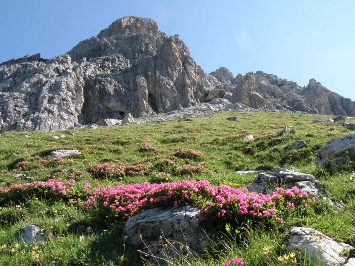 4 Mountains Apartments Kleinarl Dış mekan fotoğraf