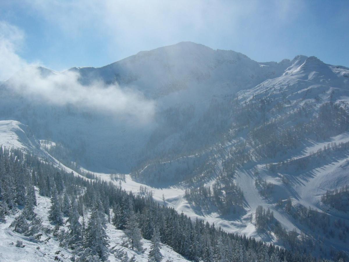 4 Mountains Apartments Kleinarl Dış mekan fotoğraf